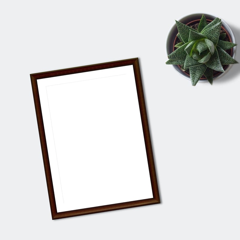 Succulent Frames