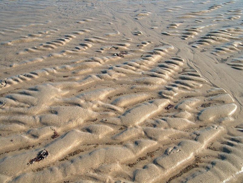 Clarity Garden Location